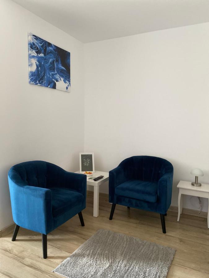 Take Pro Timisoara Apartment Εξωτερικό φωτογραφία