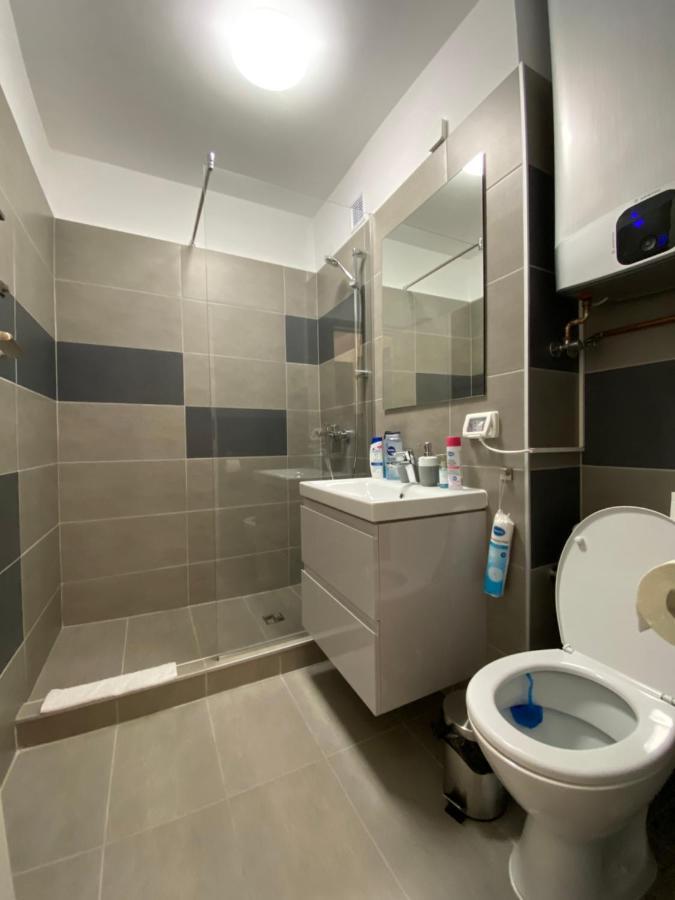 Take Pro Timisoara Apartment Εξωτερικό φωτογραφία