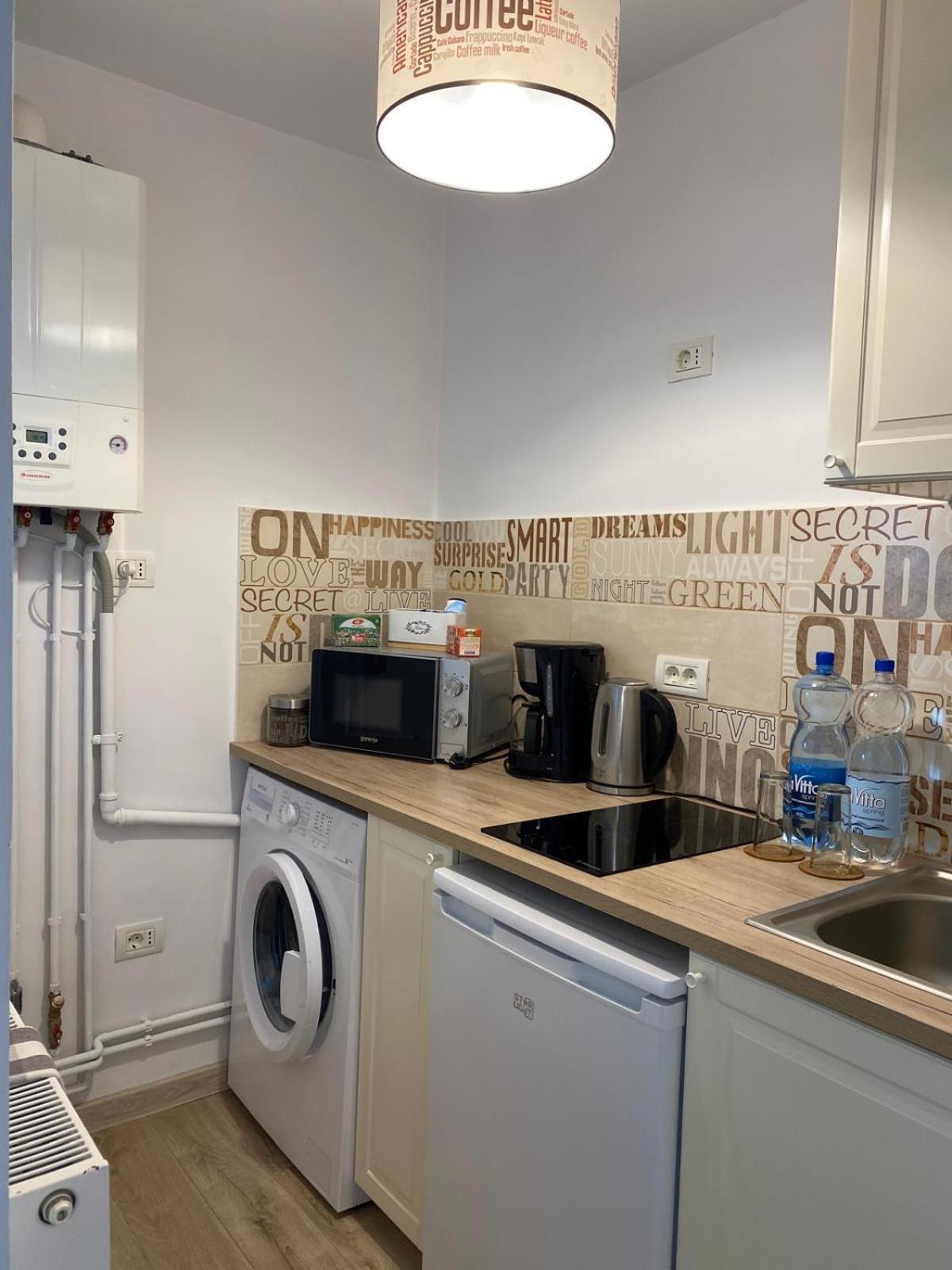 Take Pro Timisoara Apartment Εξωτερικό φωτογραφία
